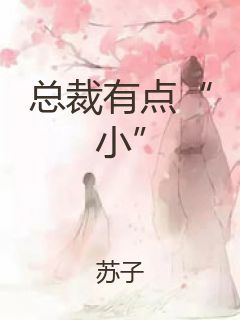 总裁有点“小”