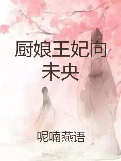 厨娘王妃向未央封面