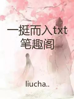 一挺而入txt笔趣阁封面