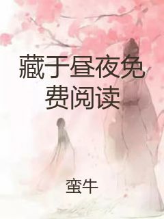 藏于昼夜免费阅读封面